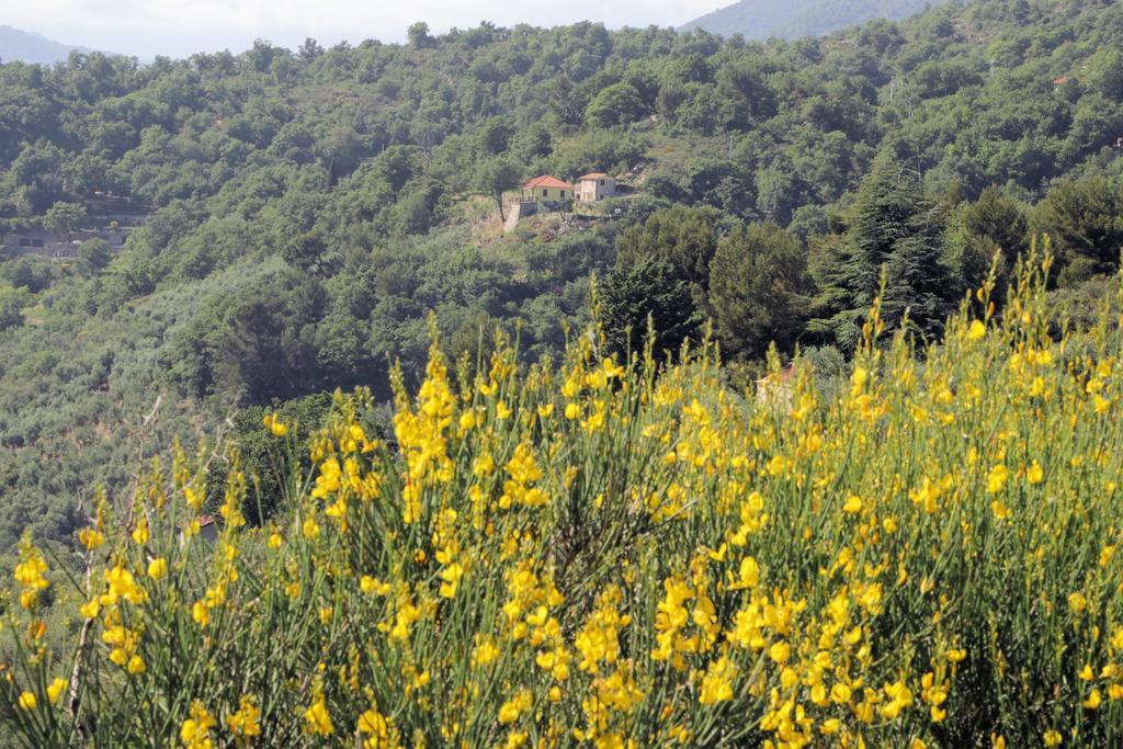 Natura Holiday home *